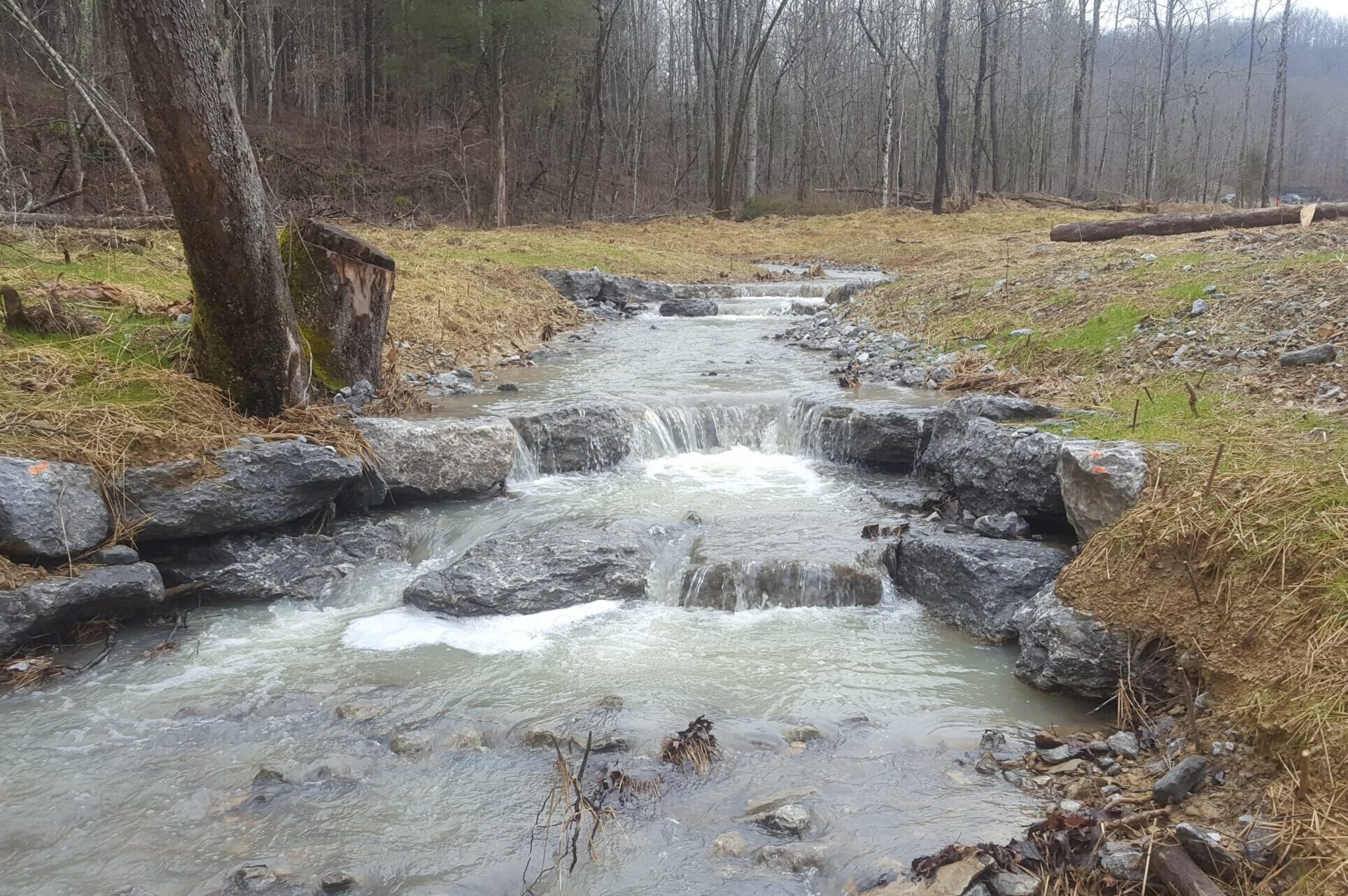 Rolling Fork - KY - Beaver Creek Hydrology